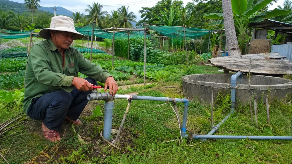 Nông dân chỉnh van đỏ trên hệ thống ống PVC tưới vườn rau, núi xa phía sau
